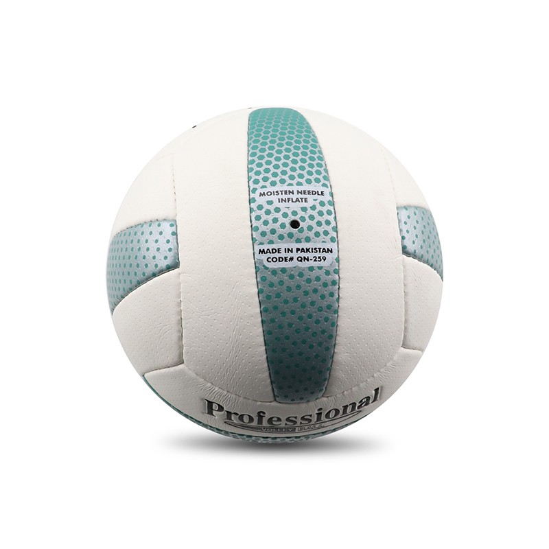 Voleybol topu Ballonstar QN-259, ağ/yaşıl